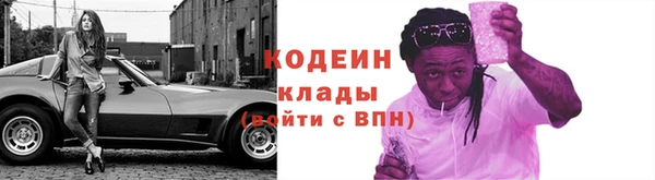 твердый Бородино