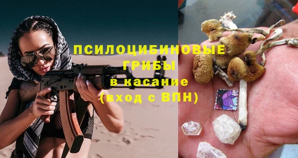 PSILOCYBIN Бугульма
