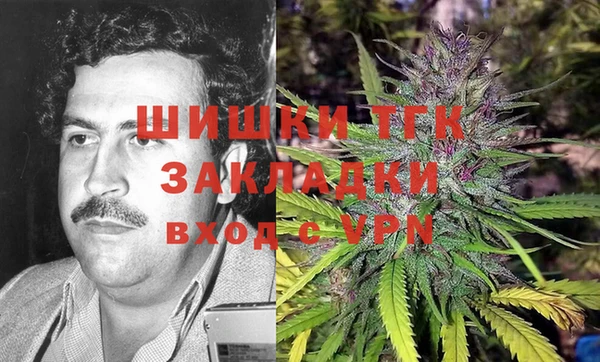 твердый Бородино