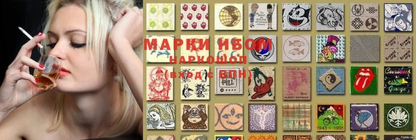 PSILOCYBIN Бугульма