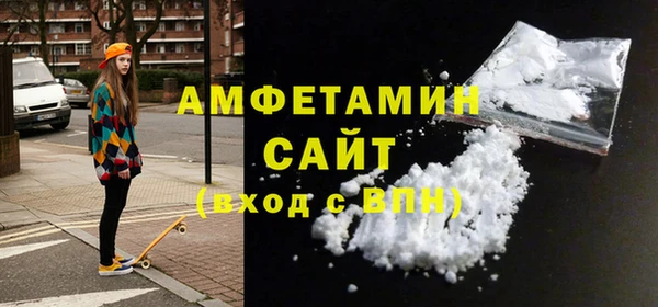 твердый Бородино
