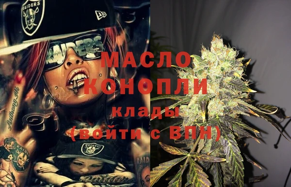 твердый Бородино