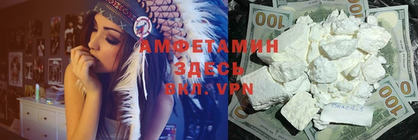 твердый Бородино