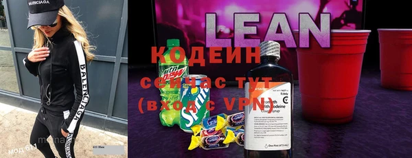 твердый Бородино