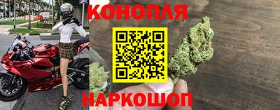 крисы Беслан