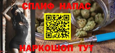 крисы Беслан