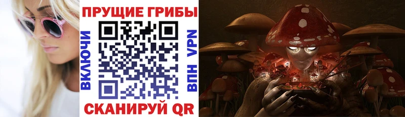Псилоцибиновые грибы Magic Shrooms  дарнет шоп  ОМГ ОМГ онион  Вичуга 