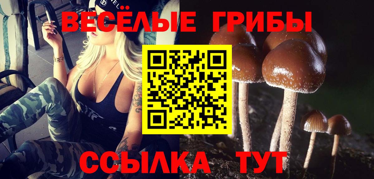 Галлюциногенные грибы Cubensis  Вход с VPN  Галлюциногенные грибы мицелий  Вичуга 